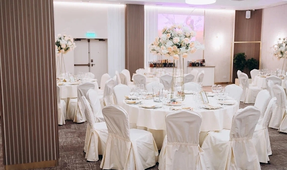 Фото №8 зала Зал «Юпитер»