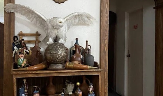 Фото №9 зала Основной зал