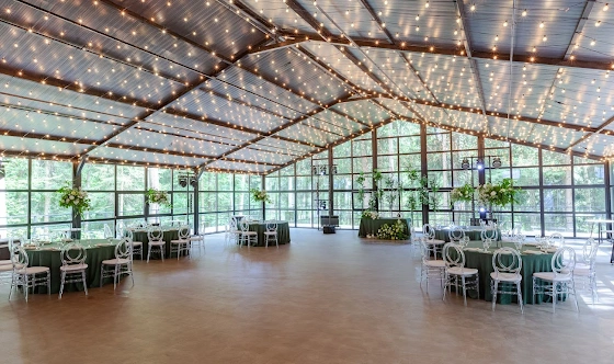 Фото №6 зала Веранда «Дивный Лес»