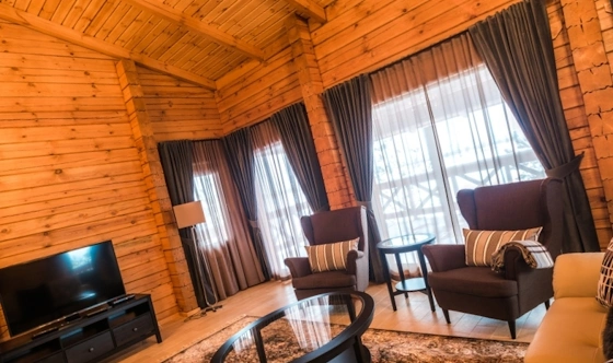 Фото №11 зала Альпийские дома "Западный поселок"