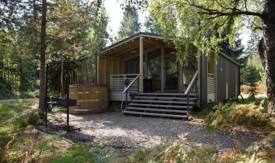 Фото №1 зала Проживание 