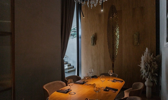 Фото №12 зала VIP-комната