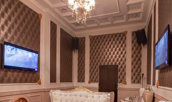 Фото №12 зала VIP-зал на 10 человек