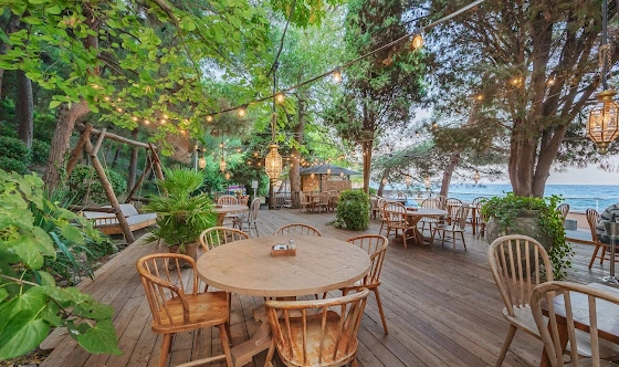 Фото №2 зала Летние площадки