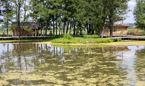 Фото №8 зала Беседки «Боярская»