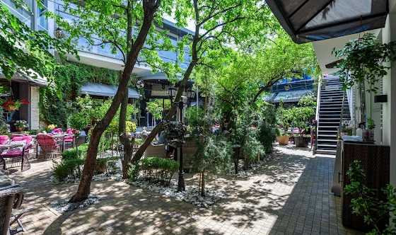 Фото №15 зала Летний дворик