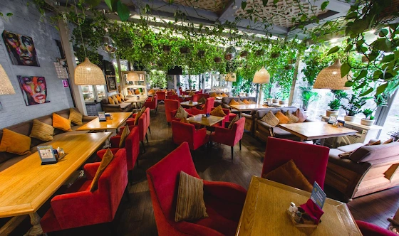 Фото №5 зала Веранда 