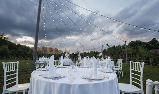 Фото №16 зала Green Zone