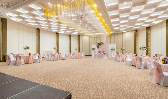 Фото №12 зала Зал «Россини» 