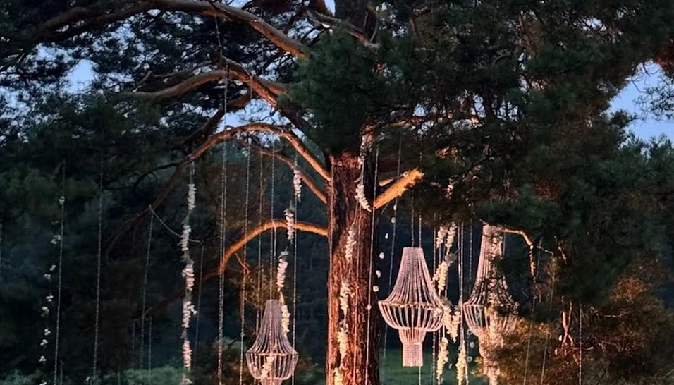 Фото №11 зала Банкетный зал