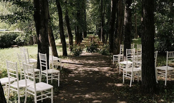 Фото №3 зала Аллея деревьев