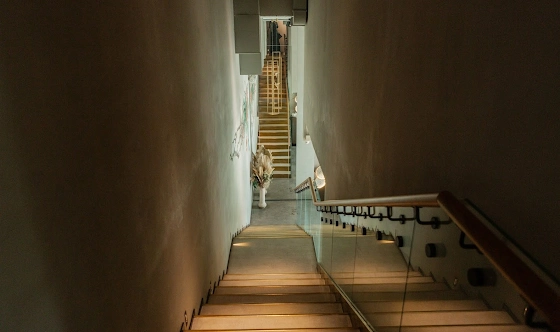 Фото №20 зала Зал "2 этаж"