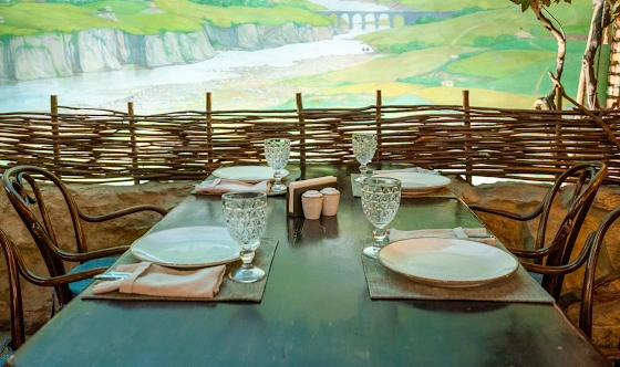 Фото №15 зала Каминный зал