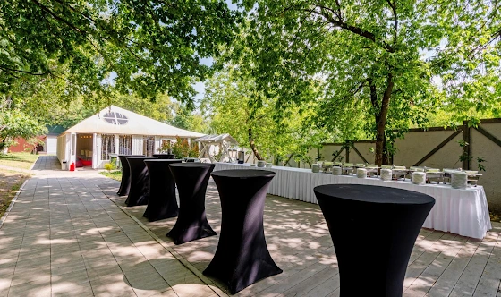 Фото №16 зала Дворик