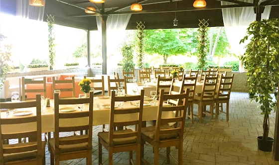 Фото №3 зала Летняя терраса