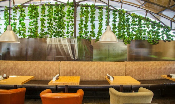 Фото №4 зала Летняя терраса 