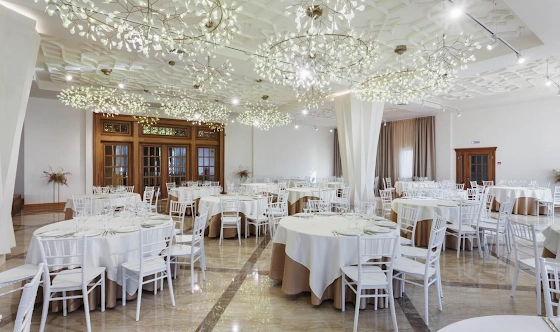 Фото №15 зала Большой банкетный зал