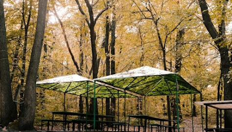 Фото №3 зала Беседки