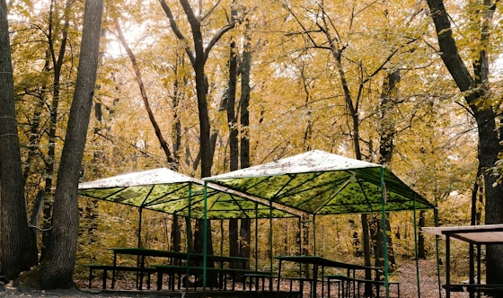 Фото №3 зала Беседки