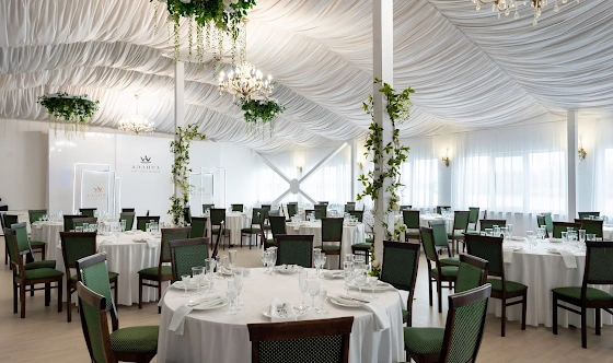 Фото №14 зала Зал «Аэлита»