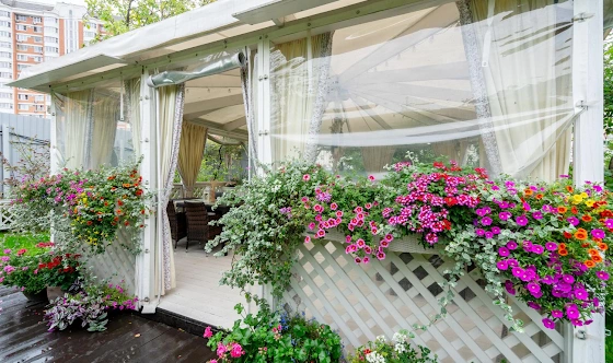 Фото №6 зала Малая терраса