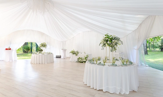 Фото №15 зала Шатёр на Воздушном театре