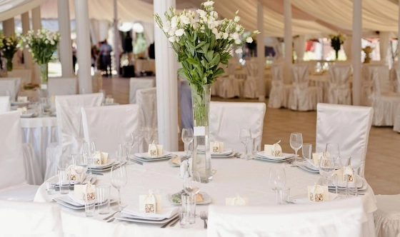 Фото №2 зала Шатер