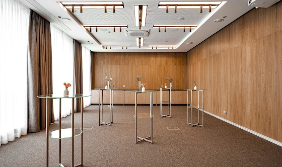 Фото №13 зала Зал «Венера»