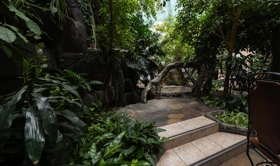 Фото №5 зала Зал «Зимний сад»