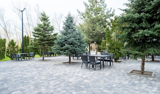 Фото №19 зала Веранда «Стеклянная»