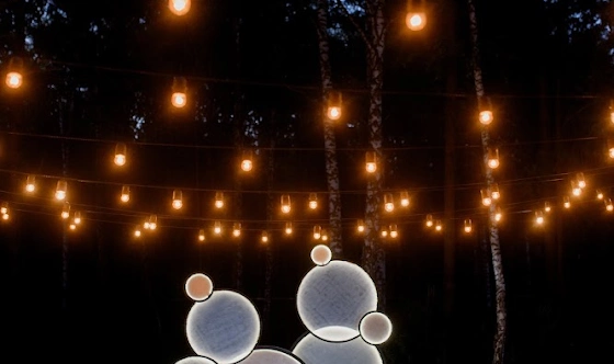 Фото №20 зала Площадка для выездной церемонии