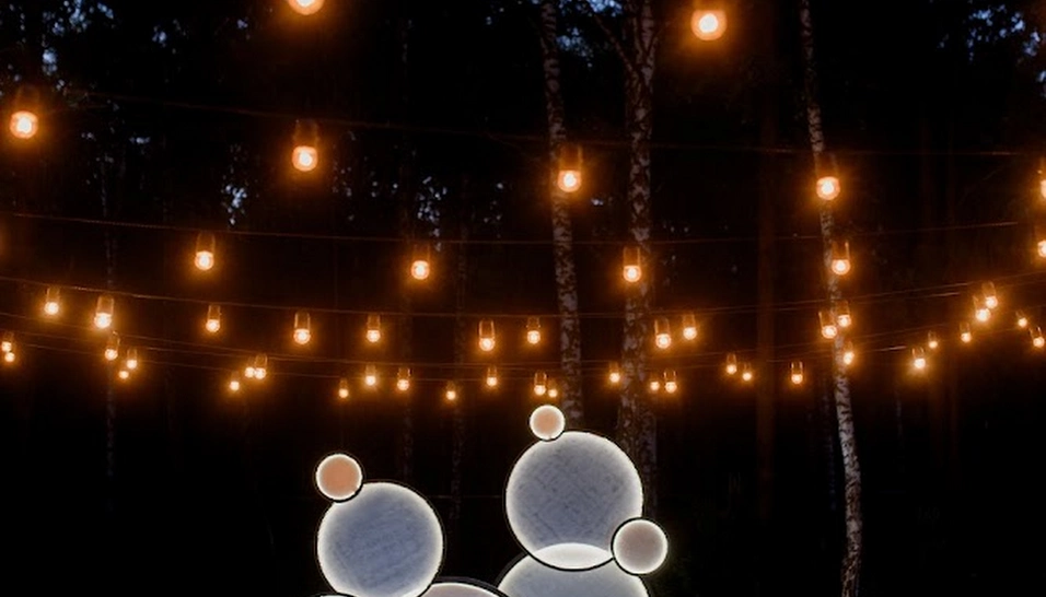 Фото №20 зала Площадка для выездной церемонии