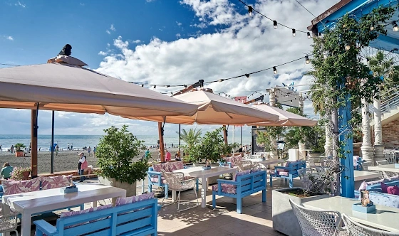 Фото №5 зала Летняя веранда