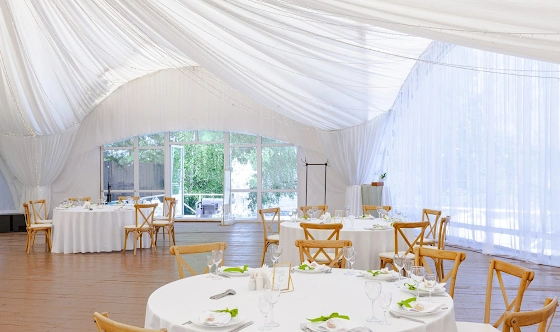 Фото №19 зала Сосновый бор