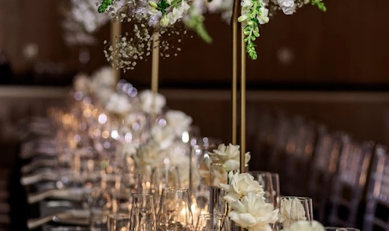 Фото №4 зала Зал «Венера»