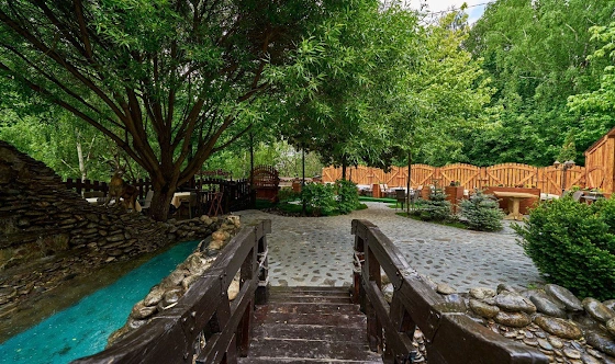 Фото №12 зала Ресторан «Шахин-Шах»