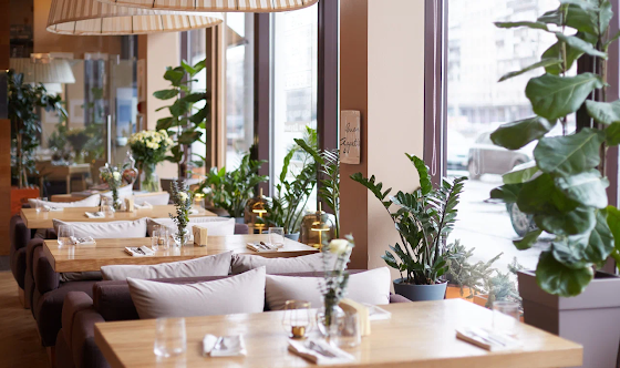 Фото №1 зала Основной зал