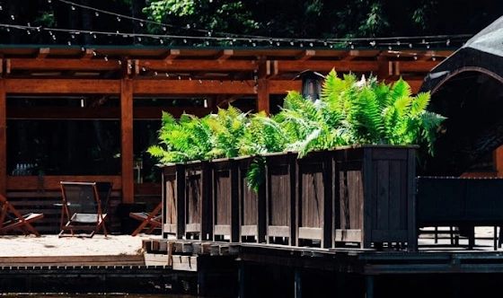 Фото №5 зала Сфера с баром у воды