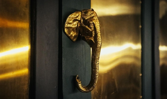 Фото №16 зала Основной зал