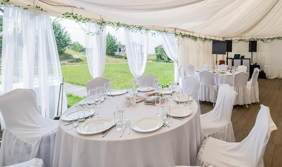 Фото №6 зала Шатер на 100 человек