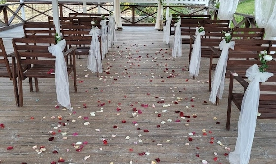 Фото №6 зала Беседка "ГРОТ" (Беседка для регистраций)