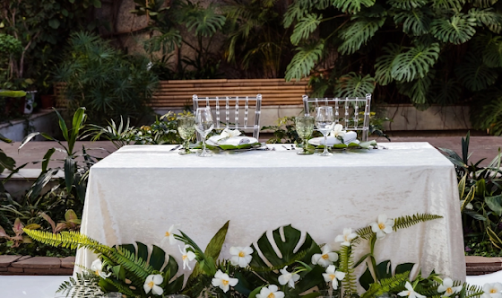 Фото №5 зала Оранжерея 