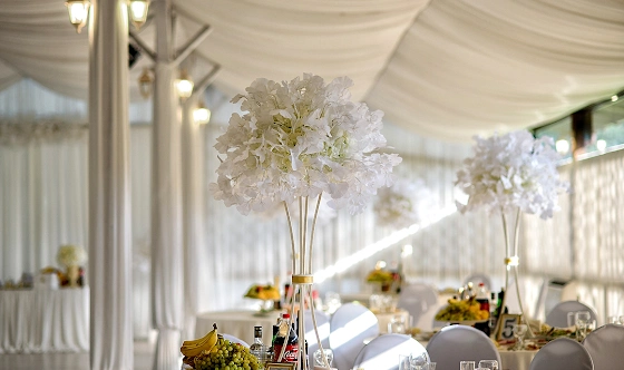 Фото №10 зала Банкетный зал №1