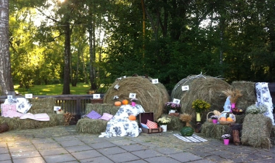 Фото №3 зала Костровая площадка с верандой