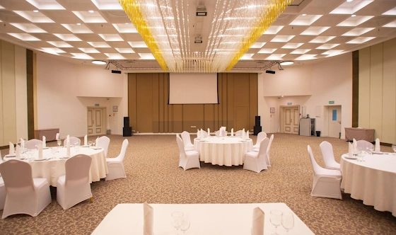 Фото №20 зала Зал «Россини» 