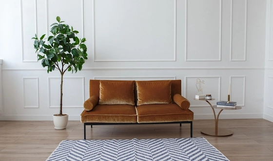 Фото №1 зала Зал Muse