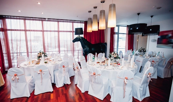 Фото №9 зала Номер Люкс Cherman