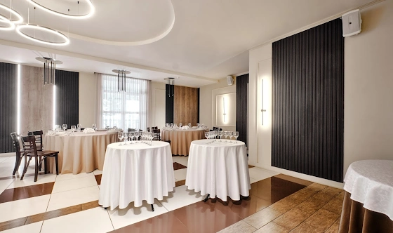 Фото №13 зала VIP-зал