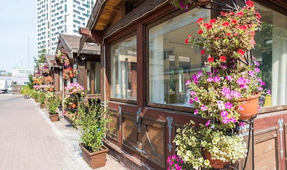 Фото №12 зала Домики на 15 человек