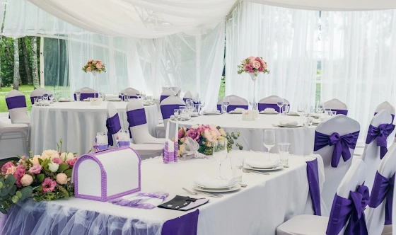 Фото №11 зала Шатер Sky